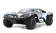 ECX Torment 2WD